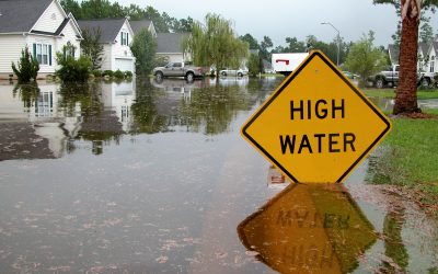 Sewer Back-up Insurance & Flood Insurance Coverages Status